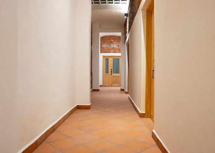 Apartment Dh1 Vip In Downtown, Location, Private Wc *