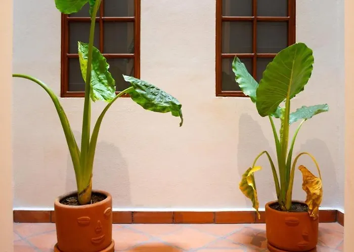 Apartment Dh1 Vip In Downtown, Location, Private Wc *